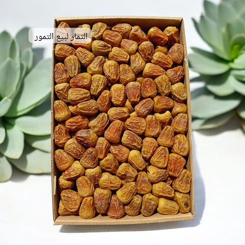 تمر سكري مفتل 3kg
